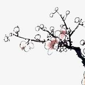 【前端面試六】描述一下CSS中的漸進增強，優雅降級之間的區別